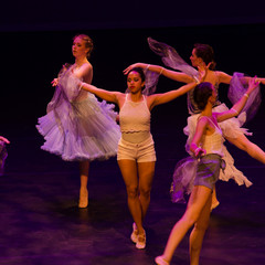 d7k_1075_carrysize_cr_43368358570_o.jpg
